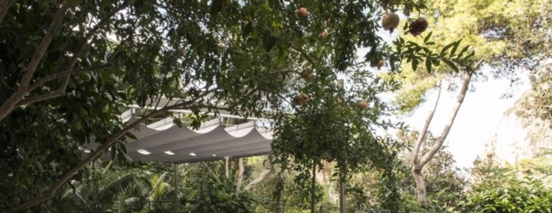 Welkom in de jungle, welkom thuis.