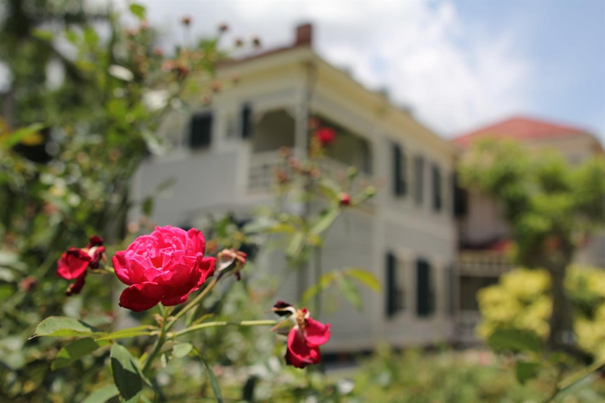 Giardino a bassa manutenzione: come realizzarlo e prendersene cura