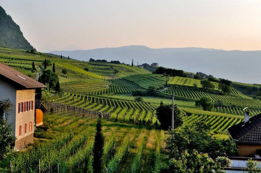 Sorsi di bellezza, alla scoperta delle cantine di design