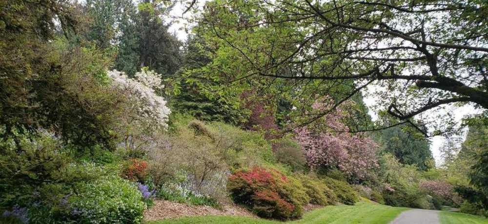 Jardines en pendiente: materiales, plantas y consejos útiles