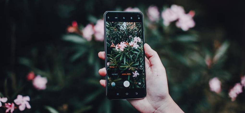 (Grüner) Daumen nach oben: Apps für die Gartenpflege mithilfe des Smartphones